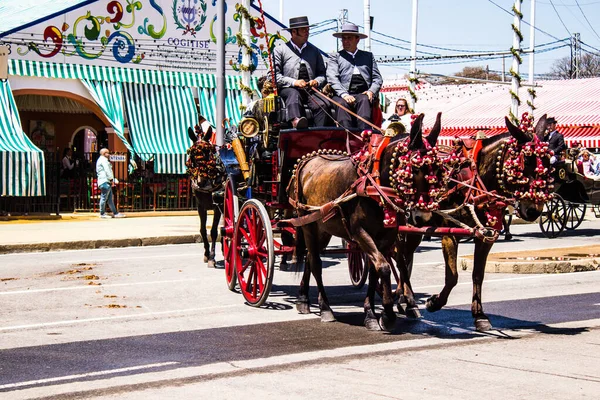 Seville, İspanya - 5 Mayıs 2022 Sevillianlar geleneksel Endülüs tarzında giyinmiş bir şekilde İspanya 'nın en ünlü festivali olan Feria de Sevilla' nın koridorlarında at arabasıyla dolaşıyorlar.