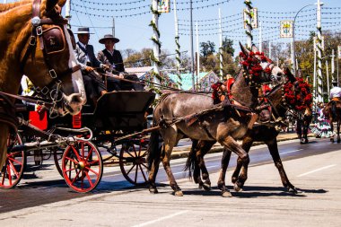 Seville, İspanya - 5 Mayıs 2022 Sevillianlar geleneksel Endülüs tarzında giyinmiş bir şekilde İspanya 'nın en ünlü festivali olan Feria de Sevilla' nın koridorlarında at arabasıyla dolaşıyorlar.