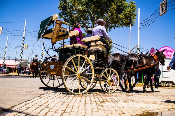 Seville, İspanya - 5 Mayıs 2022 Sevillianlar geleneksel Endülüs tarzında giyinmiş bir şekilde İspanya 'nın en ünlü festivali olan Feria de Sevilla' nın koridorlarında at arabasıyla dolaşıyorlar.