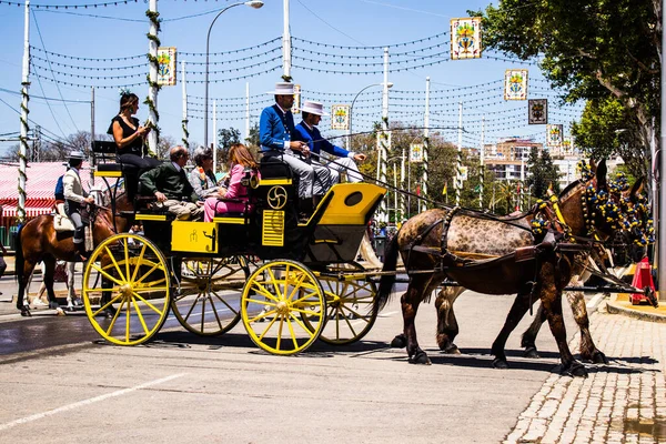 Seville, İspanya - 5 Mayıs 2022 Sevillianlar geleneksel Endülüs tarzında giyinmiş bir şekilde İspanya 'nın en ünlü festivali olan Feria de Sevilla' nın koridorlarında at arabasıyla dolaşıyorlar.