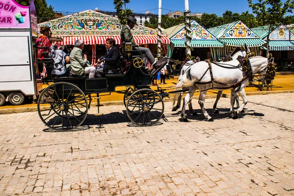 Seville Spain May 2022 Sevillians Dressed Traditional Andalusian Way Riding — стоковое фото