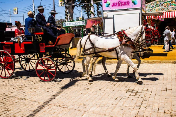 Seville, İspanya - 5 Mayıs 2022 Sevillianlar geleneksel Endülüs tarzında giyinmiş bir şekilde İspanya 'nın en ünlü festivali olan Feria de Sevilla' nın koridorlarında at arabasıyla dolaşıyorlar.