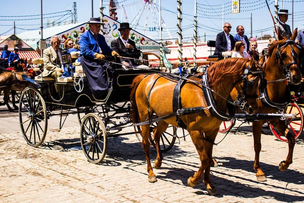 Seville, İspanya - 5 Mayıs 2022 Sevillianlar geleneksel Endülüs tarzında giyinmiş bir şekilde İspanya 'nın en ünlü festivali olan Feria de Sevilla' nın koridorlarında at arabasıyla dolaşıyorlar.