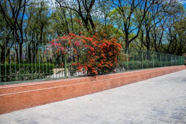 Seville, İspanya - 09 Mayıs 2022 Sevilla şehri, sembolik bir şehir ve İspanya 'nın güneyindeki Endülüs Bölgesi' nin başkenti.