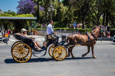 Seville, İspanya - 09 Mayıs 2022 Coronavirüs salgını sırasında Seville sokaklarında at arabasıyla dolaşmak zorunludur, maske takmak zorunludur.