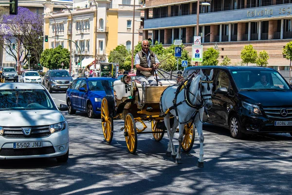 Seville Spain May 2022 Horse Drawn Carriage Ride Streets Seville — Stock Photo, Image