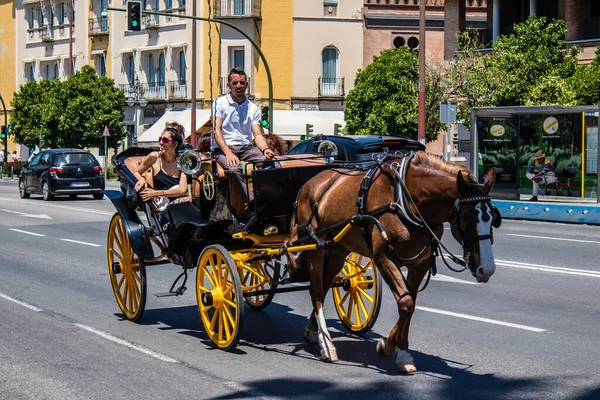 Seville, İspanya - 09 Mayıs 2022 Coronavirüs salgını sırasında Seville sokaklarında at arabasıyla dolaşmak zorunludur, maske takmak zorunludur.