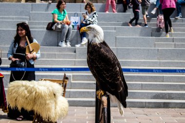 Reims, Fransa - 28 Mayıs 2022 Reims şehrinde düzenlenen Johanniques şenlikleri sırasında Orta Çağ 'ın kalbine ziyaretçileri taşıyan tarihi yeniden yapılanma