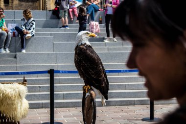 Reims, Fransa - 28 Mayıs 2022 Reims şehrinde düzenlenen Johanniques şenlikleri sırasında Orta Çağ 'ın kalbine ziyaretçileri taşıyan tarihi yeniden yapılanma