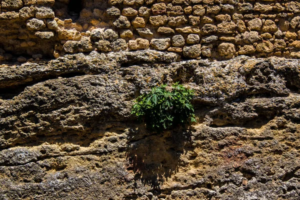 Carmona Spanien Juni 2022 Stadtbild Und Architektur Der Stadt Carmona — Stockfoto