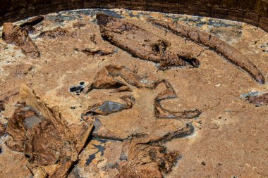 Fez, Fas - 13 Haziran 2022 Chouara Tannery, Chouara 'daki boya fıçıları Fez Medine' nin en ikonik manzaraları arasındadır. Eskiler 'in bronzlaşma ve boyama sanatı, içsel gerçekliğiyle.