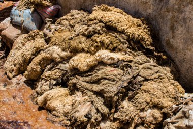 Fez, Fas - 13 Haziran 2022 Chouara Tannery, Chouara 'daki boya fıçıları Fez Medine' nin en ikonik manzaraları arasındadır. Eskiler 'in bronzlaşma ve boyama sanatı, içsel gerçekliğiyle.