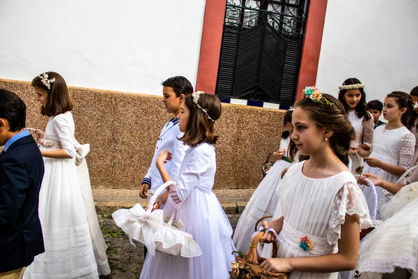 Carmona, İspanya - 19 Haziran 2022 Corpus Christi de Carmona, Santa Maria Kilisesi 'ne giden genç çocuklarla dolu dini geçit töreni.