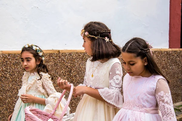 Carmona, İspanya - 19 Haziran 2022 Corpus Christi de Carmona, Santa Maria Kilisesi 'ne giden genç çocuklarla dolu dini geçit töreni.