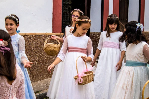 Carmona, İspanya - 19 Haziran 2022 Corpus Christi de Carmona, Santa Maria Kilisesi 'ne giden genç çocuklarla dolu dini geçit töreni.