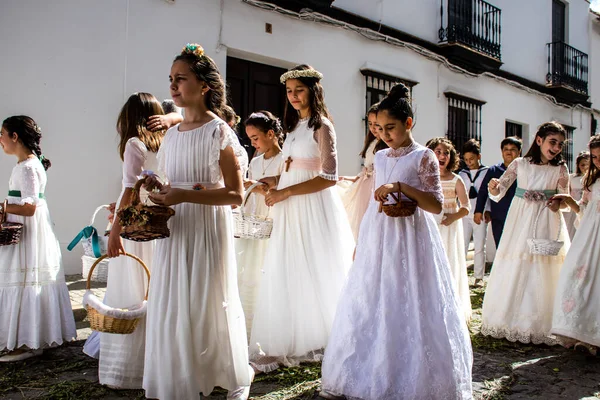 Carmona, İspanya - 19 Haziran 2022 Corpus Christi de Carmona, Santa Maria Kilisesi 'ne giden genç çocuklarla dolu dini geçit töreni.
