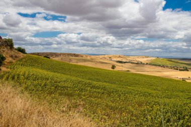 Yaz boyunca Güney İspanya 'da manzara ve doğa inanılmaz çeşitlilikteki bölgelere ve çarpıcı doğal manzaralara ev sahipliği yapmaktadır. Endülüs, İspanya' yı eşsiz kılan bir doğa mücevheridir.