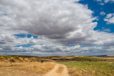 Yaz boyunca Güney İspanya 'da manzara ve doğa inanılmaz çeşitlilikteki bölgelere ve çarpıcı doğal manzaralara ev sahipliği yapmaktadır. Endülüs, İspanya' yı eşsiz kılan bir doğa mücevheridir.