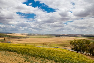 Yaz boyunca Güney İspanya 'da manzara ve doğa inanılmaz çeşitlilikteki bölgelere ve çarpıcı doğal manzaralara ev sahipliği yapmaktadır. Endülüs, İspanya' yı eşsiz kılan bir doğa mücevheridir.