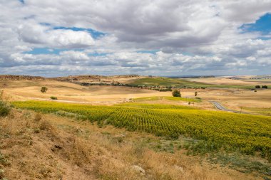 Yaz boyunca Güney İspanya 'da manzara ve doğa inanılmaz çeşitlilikteki bölgelere ve çarpıcı doğal manzaralara ev sahipliği yapmaktadır. Endülüs, İspanya' yı eşsiz kılan bir doğa mücevheridir.
