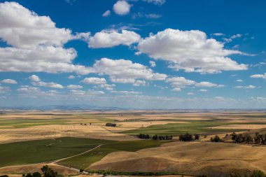 Yaz boyunca Güney İspanya 'da manzara ve doğa inanılmaz çeşitlilikteki bölgelere ve çarpıcı doğal manzaralara ev sahipliği yapmaktadır. Endülüs, İspanya' yı eşsiz kılan bir doğa mücevheridir.