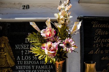 Carmona, İspanya - 2 Temmuz 2022 Andalusia 'daki Carmona Belediyesi' nin Hristiyan mezarlıklarında, mezarlar bir duvarın derinliğinde ve zengin bir şekilde dekore edilmiştir.