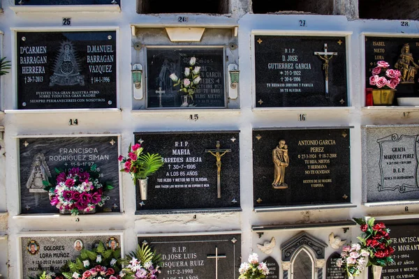 Кармона Испания Июля 2022 Христианское Кладбище Муниципалитета Кармона Андалусии Могилы — стоковое фото