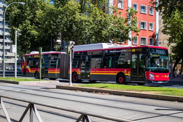 Sevilla España Julio 2022 Autobús Conduciendo Por Las Calles Sevilla — Foto de Stock