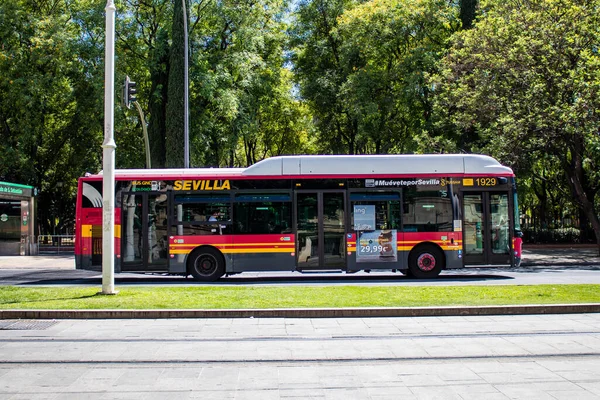 Seville Spain July 2022 Bus Driving Streets Seville Coronavirus Outbreak — Photo