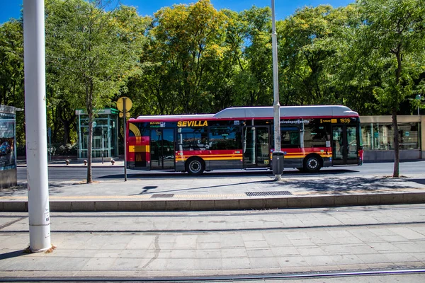 Sevilla Spanien Juli 2022 Busfahrt Durch Die Straßen Von Sevilla — Stockfoto