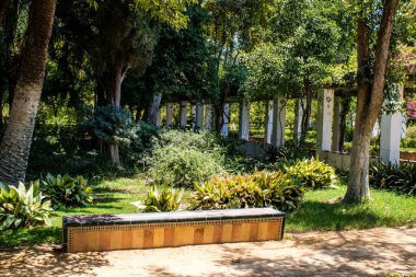 Seville, İspanya - 14 Temmuz 2022 Maria Luisa Parkı, İspanya 'nın güneyindeki Endülüs Bölgesi' nin başkenti ve sembolik şehri Sevilla 'nın ilk yeşil akciğerlerinden biridir.