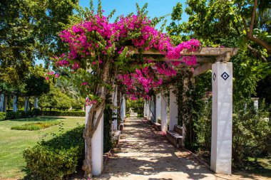 Seville, İspanya - 14 Temmuz 2022 Maria Luisa Parkı, İspanya 'nın güneyindeki Endülüs Bölgesi' nin başkenti ve sembolik şehri Sevilla 'nın ilk yeşil akciğerlerinden biridir.