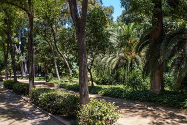 Seville, Spain - July 14, 2022 Maria Luisa Park is the first urban park and one of the green lungs of Seville, emblematic city and capital of the Andalusia region, in southern Spain