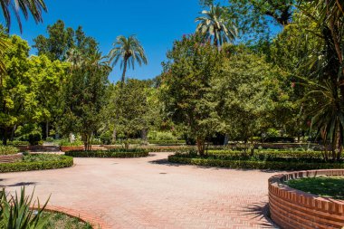 Seville, İspanya - 14 Temmuz 2022 Maria Luisa Parkı, İspanya 'nın güneyindeki Endülüs Bölgesi' nin başkenti ve sembolik şehri Sevilla 'nın ilk yeşil akciğerlerinden biridir.