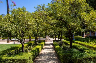 Seville, Spain - July 14, 2022 Maria Luisa Park is the first urban park and one of the green lungs of Seville, emblematic city and capital of the Andalusia region, in southern Spain
