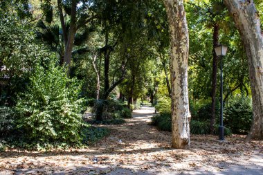 Seville, İspanya - 14 Temmuz 2022 Maria Luisa Parkı, İspanya 'nın güneyindeki Endülüs Bölgesi' nin başkenti ve sembolik şehri Sevilla 'nın ilk yeşil akciğerlerinden biridir.
