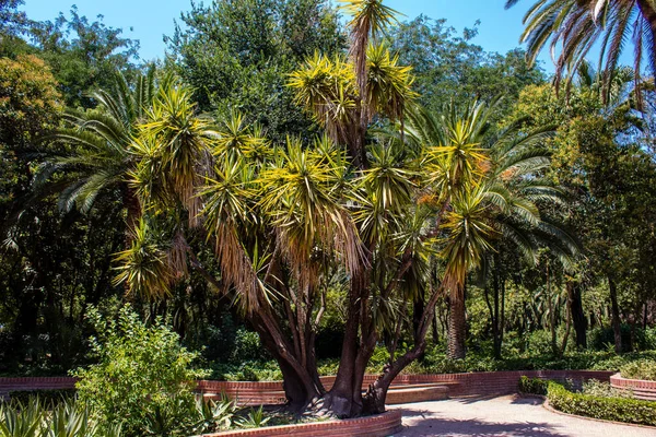 Sevilha Espanha Julho 2022 Parque Maria Luisa Primeiro Parque Urbano — Fotografia de Stock