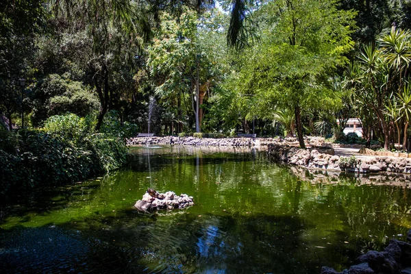 Seville Spain July 2022 Maria Luisa Park First Urban Park — Stockfoto