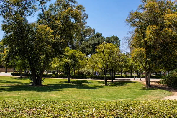 Seville Spain July 2022 Maria Luisa Park First Urban Park — Stock Fotó