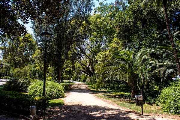 Seville Spain July 2022 Maria Luisa Park First Urban Park — Zdjęcie stockowe