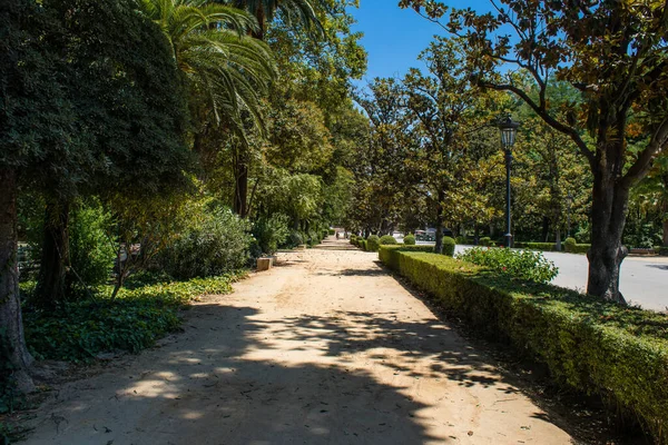 Sevilha Espanha Julho 2022 Parque Maria Luisa Primeiro Parque Urbano — Fotografia de Stock