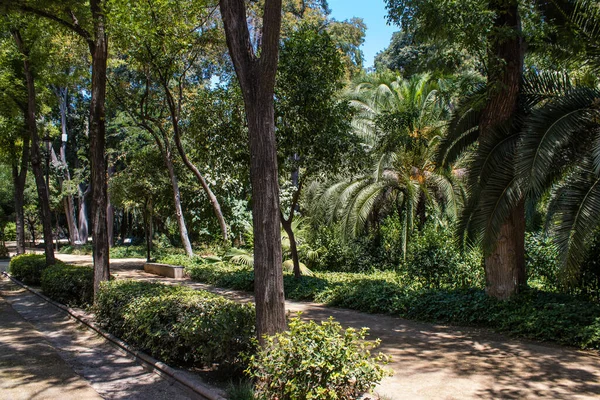 Seville Spain July 2022 Maria Luisa Park First Urban Park — Stock Fotó