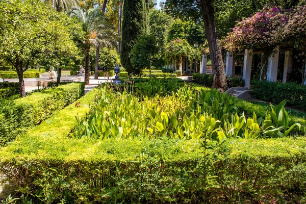 Seville Spain July 2022 Maria Luisa Park First Urban Park — Stock Fotó