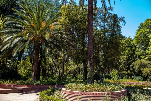 Seville Spain July 2022 Maria Luisa Park First Urban Park — Fotografia de Stock