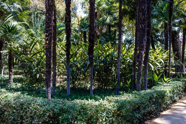 Seville Spain July 2022 Maria Luisa Park First Urban Park — Stockfoto