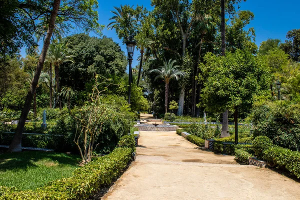 Seville Spain July 2022 Maria Luisa Park First Urban Park — Stok fotoğraf