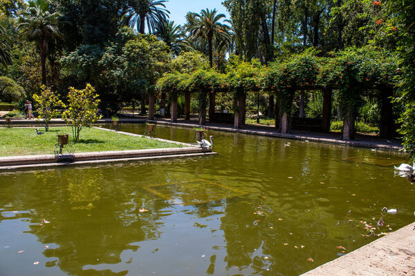 Seville, Spain - July 14, 2022 Maria Luisa Park is the first urban park and one of the green lungs of Seville, emblematic city and capital of the Andalusia region, in southern Spain