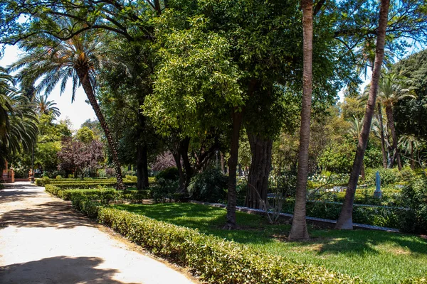 Севиль Испания Июля 2022 Года Парк Марии Луизы Первый Городской — стоковое фото
