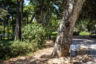 Seville, Spain - July 14, 2022 Maria Luisa Park is the first urban park and one of the green lungs of Seville, emblematic city and capital of the Andalusia region, in southern Spain