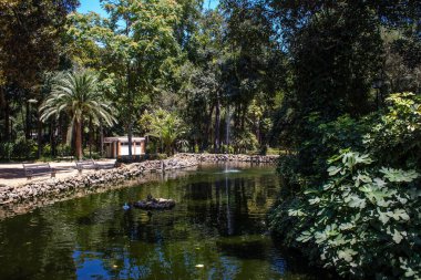 Seville, İspanya - 14 Temmuz 2022 Maria Luisa Parkı, İspanya 'nın güneyindeki Endülüs Bölgesi' nin başkenti ve sembolik şehri Sevilla 'nın ilk yeşil akciğerlerinden biridir.